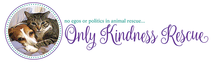 Only Kindness Rescue Logo